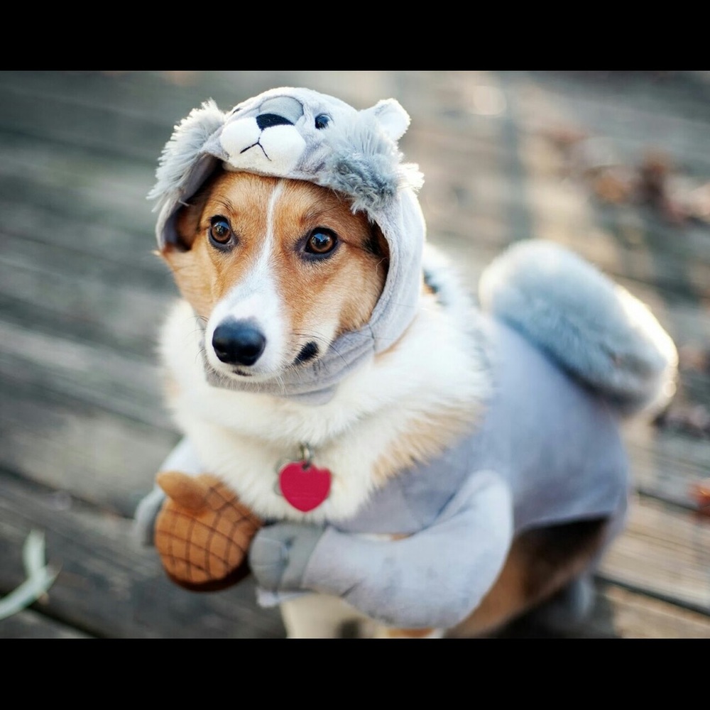 Meet your Posher, Stacey